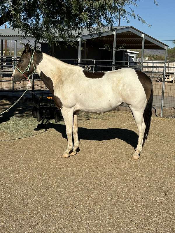 blue-eyes-horse