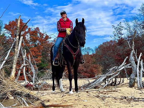 gentle-friesian-horse