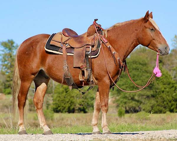 ranch-work-quarter-horse