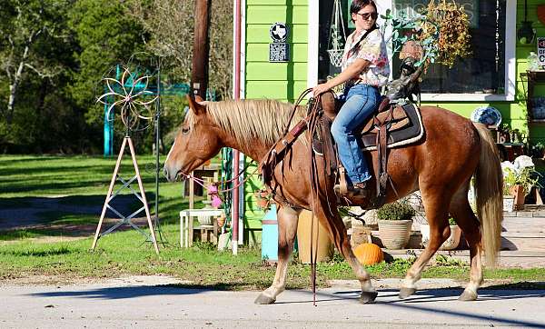 athletic-quarter-horse