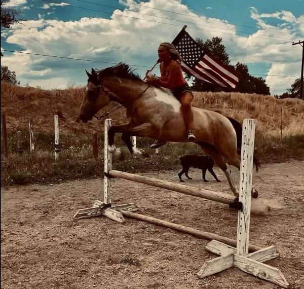 trail-riding-quarter-horse