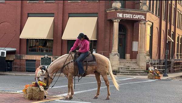 beginner-safe-quarter-horse