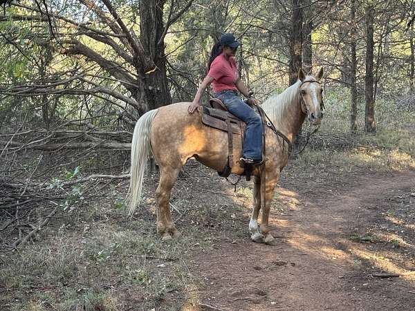 trail-quarter-horse