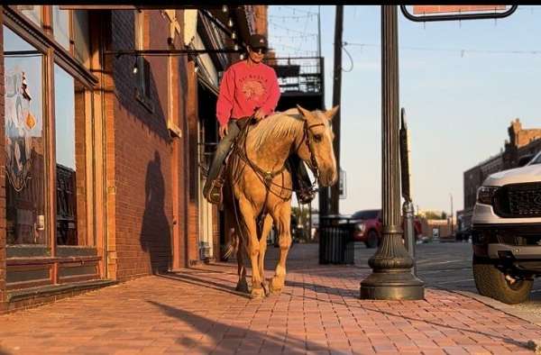 beginner-quarter-horse