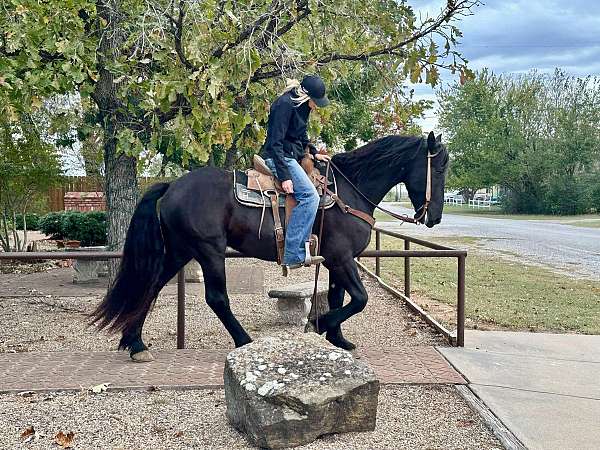 family-horse-quarter