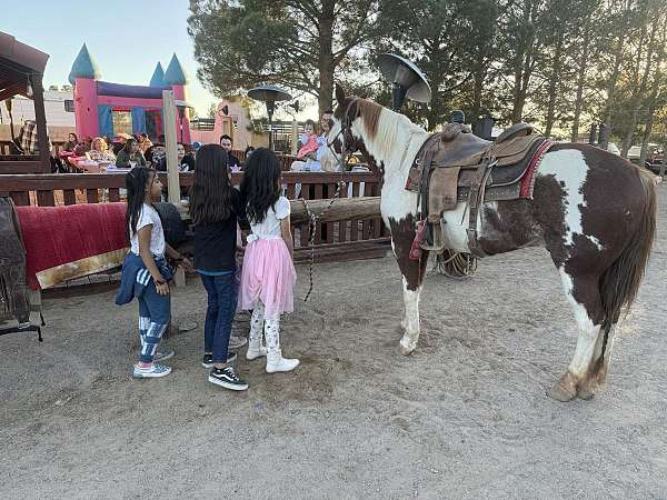 family-horse-quarter