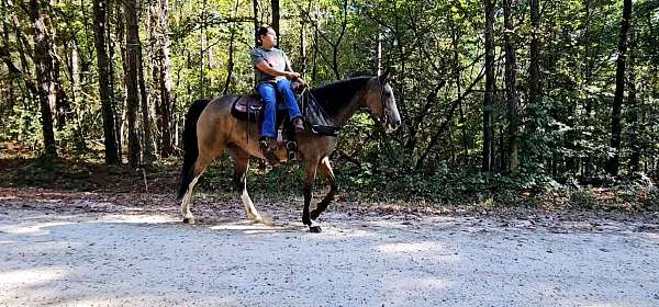 buckskin-see-pictures-horse