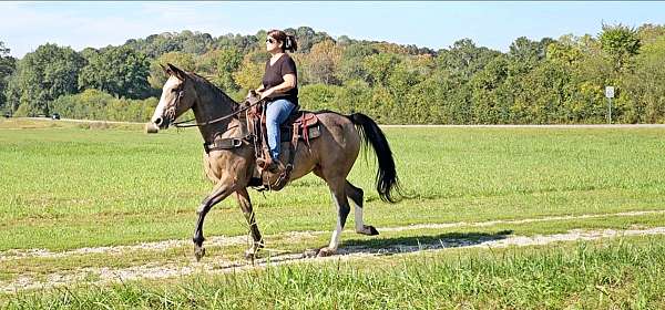 husband-safe-horse-kentucky-mountain