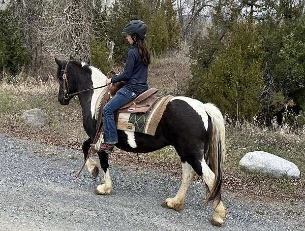 tobiano-pony