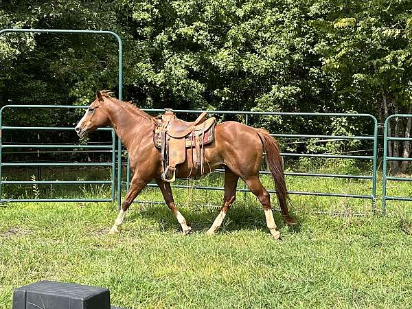 chestnut-quarter-horse-gelding