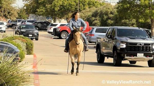 roping-quarter-horse