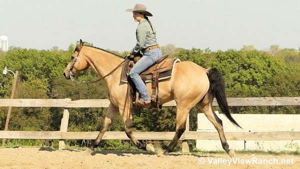 buckskin-barrel-horse