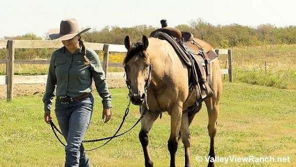 trail-riding-quarter-horse