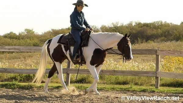 trail-paint-horse