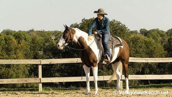 trail-riding-paint-horse