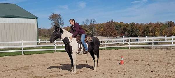 natural-horsemanship-training-spotted-saddle-horse