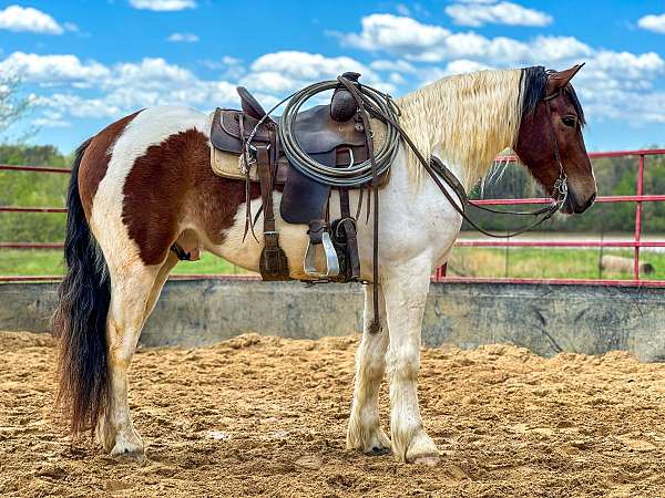 gun-safe-draft-pony