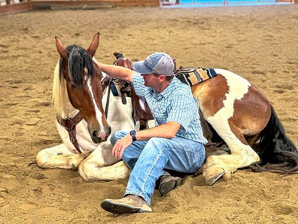 cowboy-mounted-shooting-draft-pony