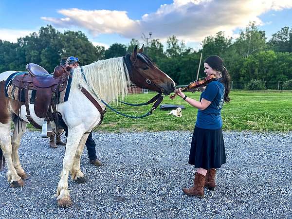 my-pony-connection-gelding