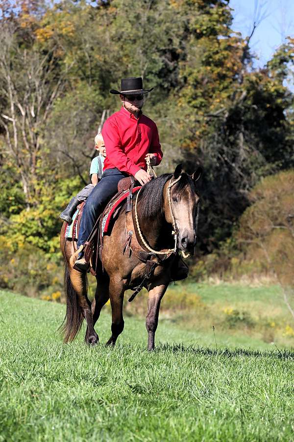 lesson-quarter-horse