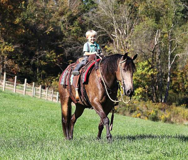 mounted-patrol-quarter-horse