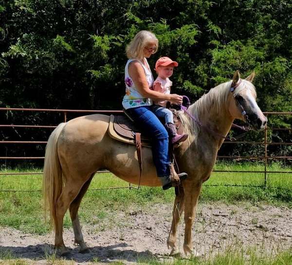 palomino-blaze-on-face-white-socks-horse