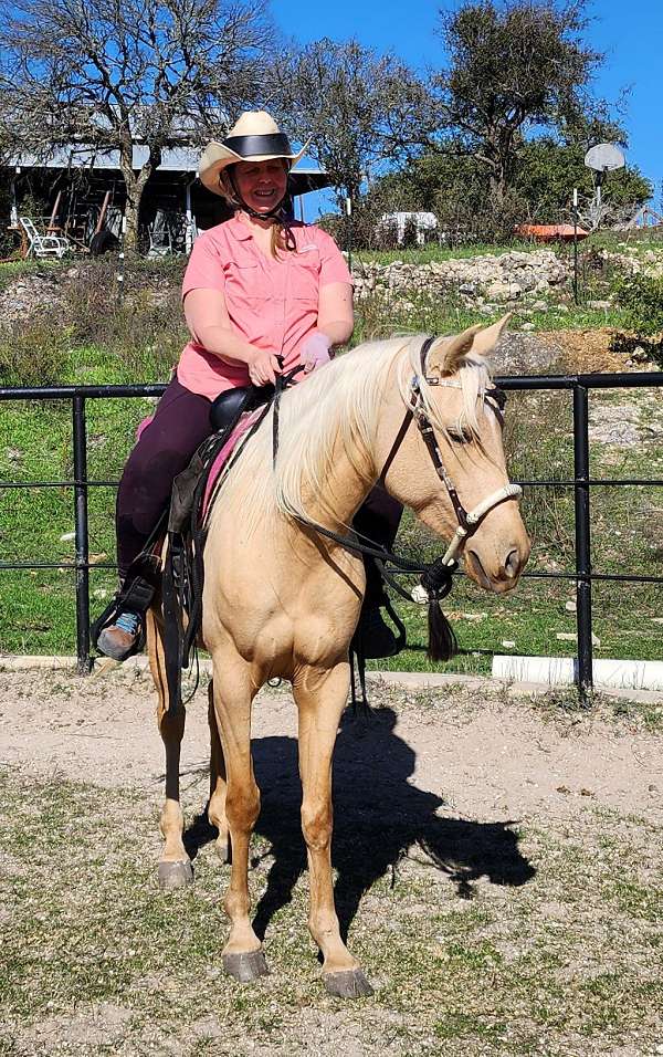 feet-palomino-horse