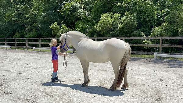 eager-fjord-horse