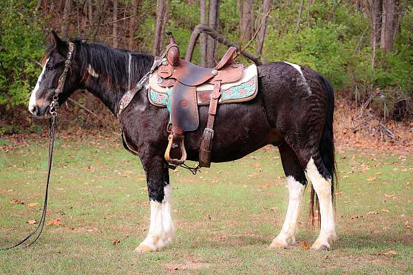 tobiano-wes-horse