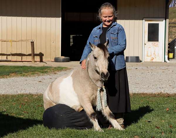 canter-pony