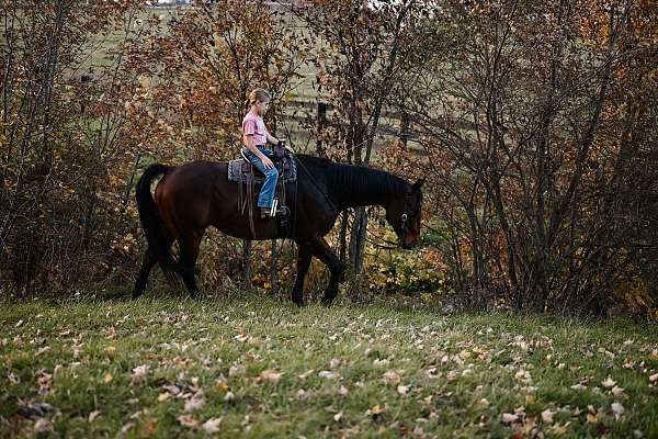 heading-quarter-horse