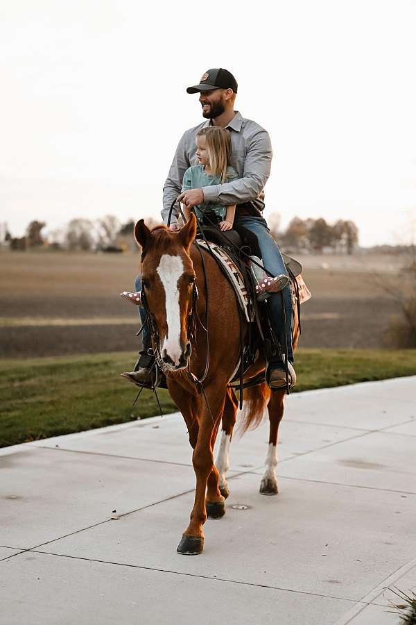 barrel-racing-quarter-horse