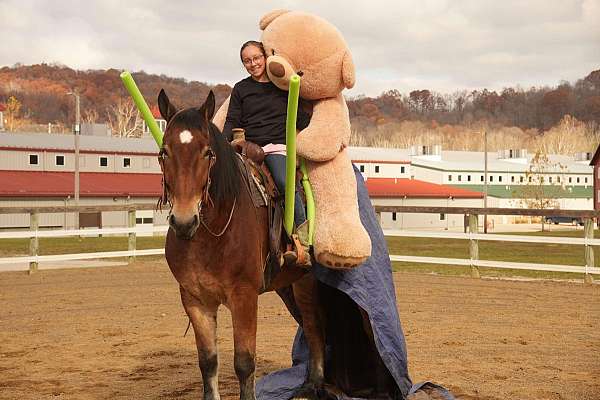 trail-riding-draft-horse