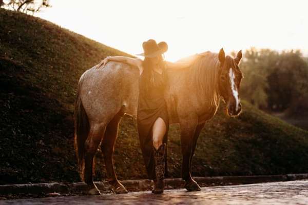 roping-quarter-horse