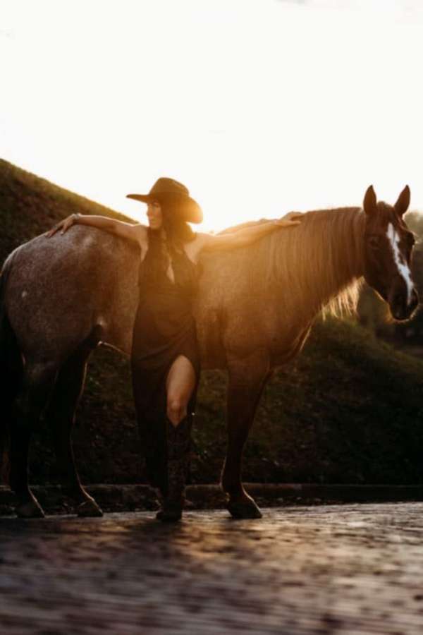 trail-riding-quarter-horse