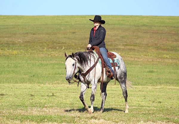 ranch-versatility-quarter-horse