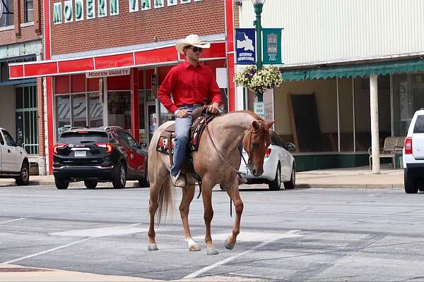 ranch-versatility-quarter-horse