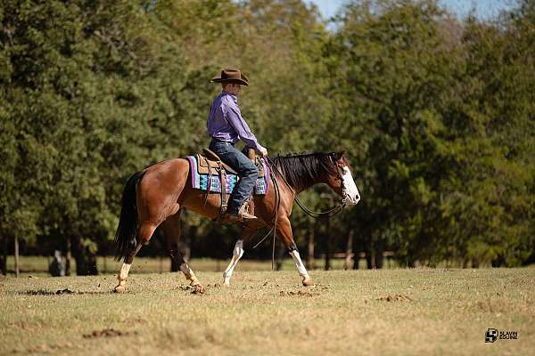 ranch-work-quarter-horse