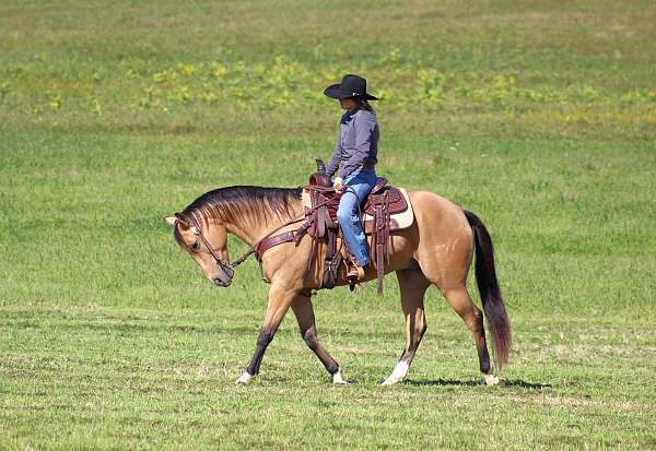 ranch-versatility-quarter-horse