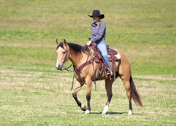 ranch-work-quarter-horse