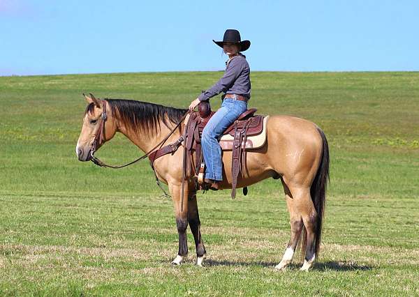 roping-quarter-horse