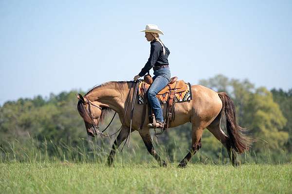 ranch-work-friesian-horse