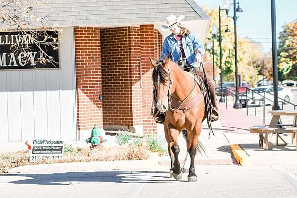 cross-draft-horse