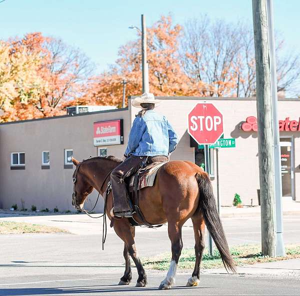 flashy-draft-horse