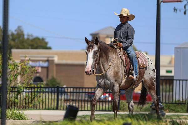 ranch-work-quarter-horse