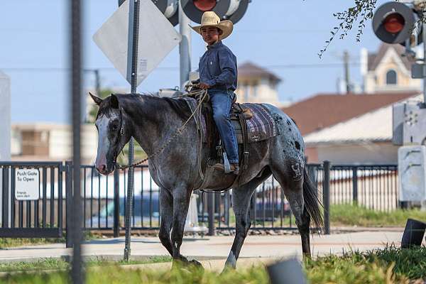 roping-quarter-horse