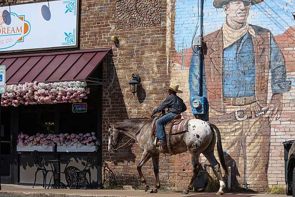 trail-riding-quarter-horse