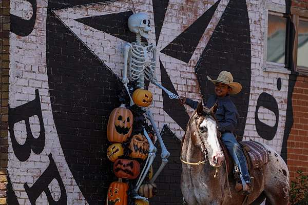 working-cattle-quarter-horse