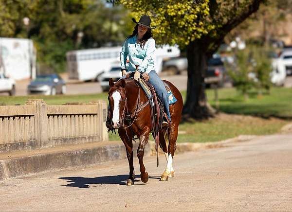 ranch-work-quarter-horse