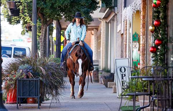 athletic-quarter-horse